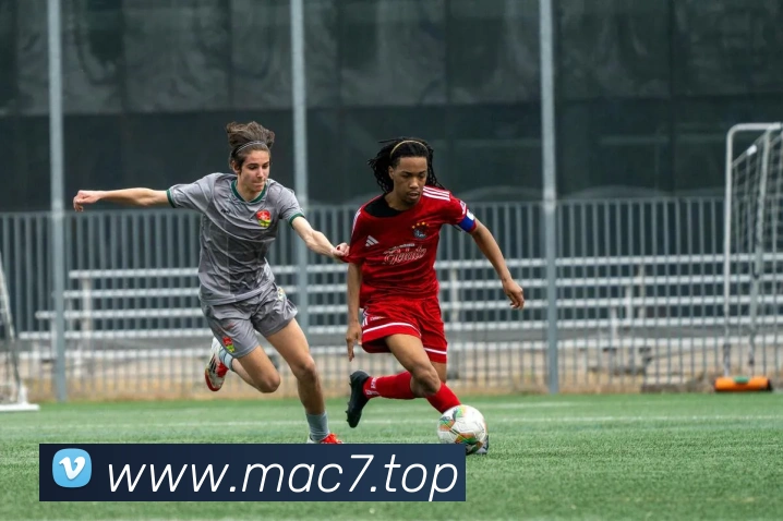 App Interface Preview